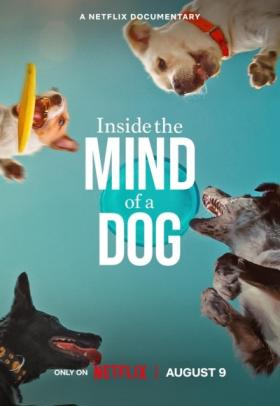 Inside the Mind of a Dog