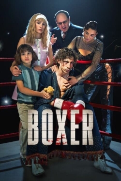 Boxer Full Movie